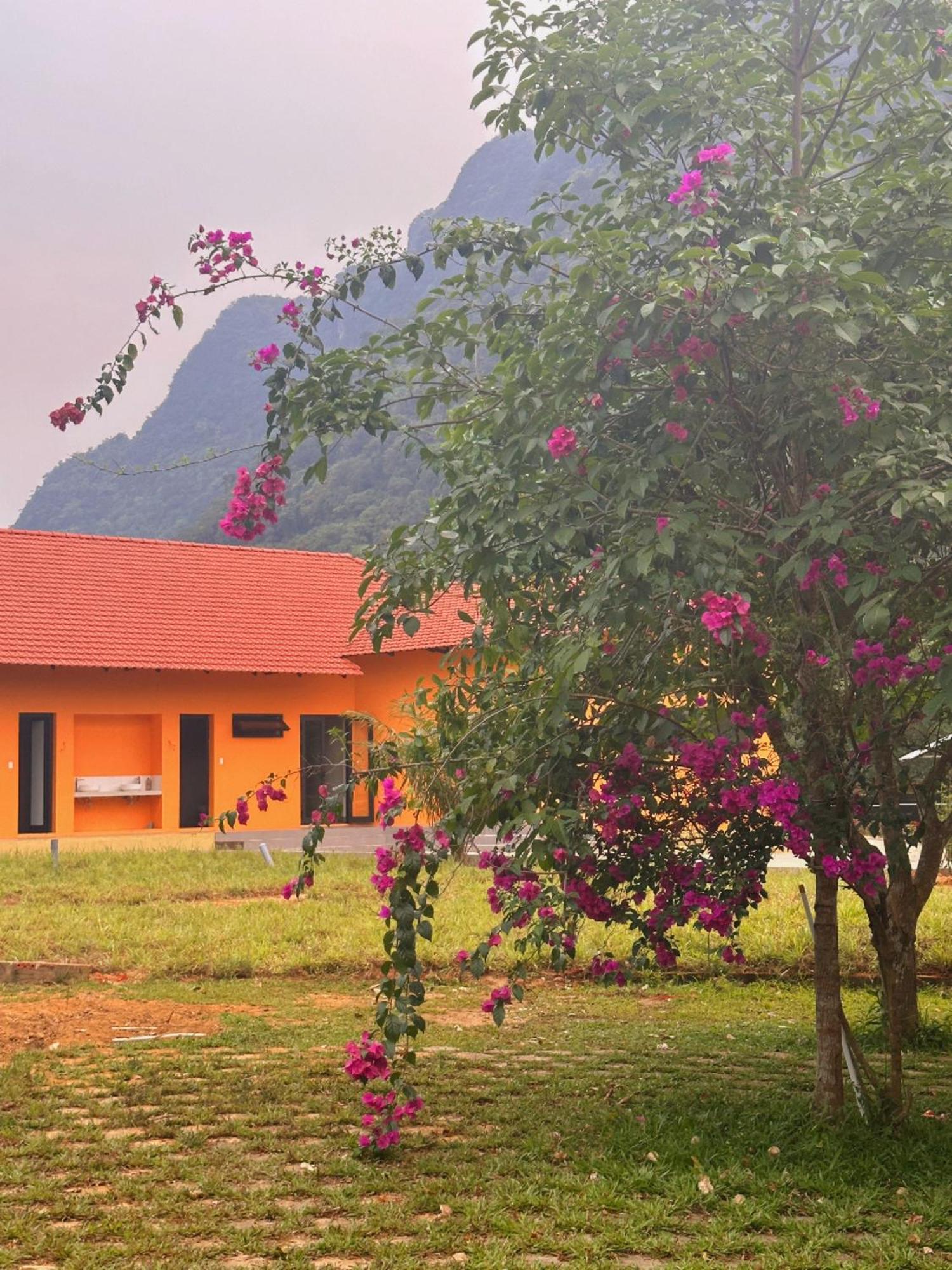 Phong Nha Eco Village Exterior foto